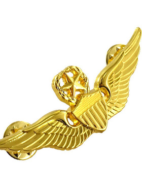 现货人气定制金银飞行徽章美国胸章礼服常服西服影视收藏爱好胸针