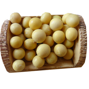 东北农家自种极小粒黄豆生豆芽纳豆专用出芽率98有机新货5斤包邮