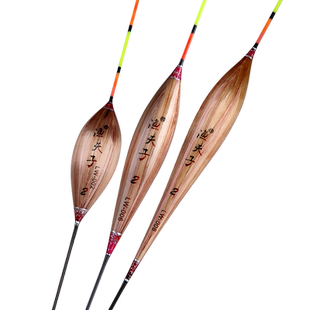 超亮水无影夜钓夜光漂高灵敏纳米浮漂电子漂鲫鲤鱼漂电子票渔具