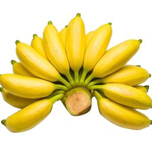 广西小10斤新鲜现摘鸡蕉帝皇米蕉