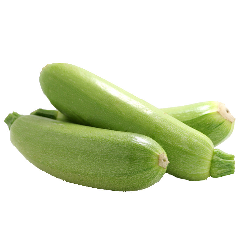 西葫芦种子 占瓜 花草瓜水果蔬菜籽 阳台种菜 高产抗病蔬菜种子