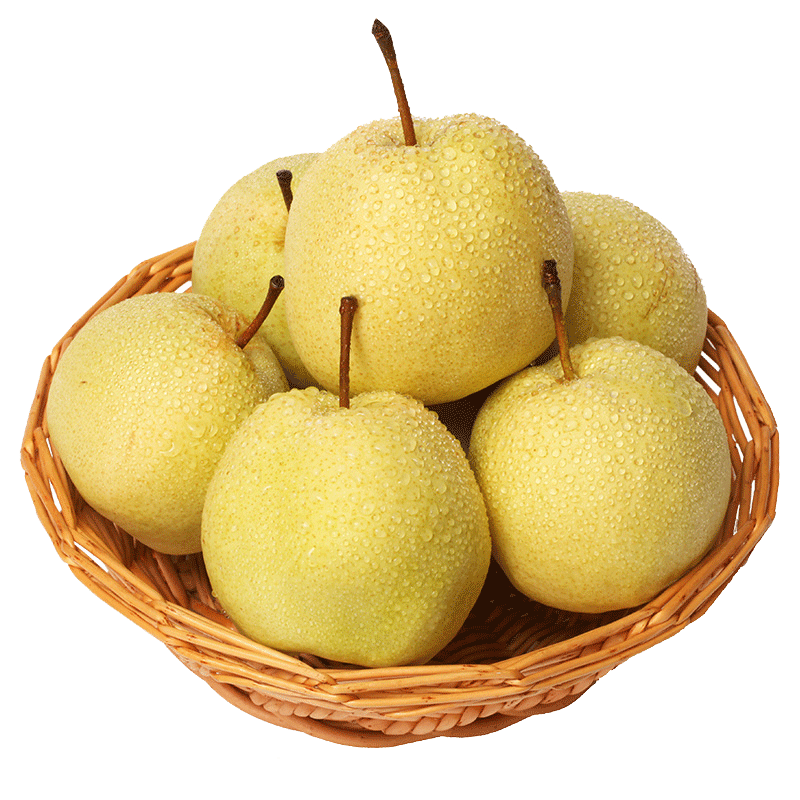 太阳果当季陕西贡梨新鲜8斤水果