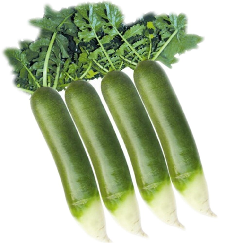 正宗潍县萝卜潍坊水果萝卜潍坊青萝卜山东特产蔬菜水果非天津萝卜