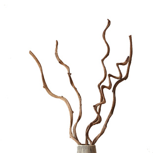 花瓶过江龙藤干树枝装饰客厅餐厅橱柜壁挂藤条摆件干花