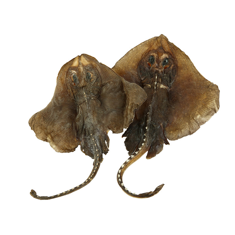 皮鱼老板鱼干货魔鬼鱼干水产干货劳鱼干魔鬼鱼干琵琶鳐鱼干咸鱼