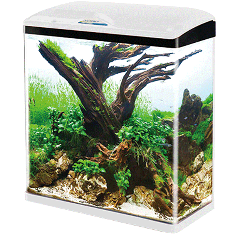 松宝小型鱼缸水族箱客厅家用造景超白玻璃鱼缸小型生态桌面金鱼缸