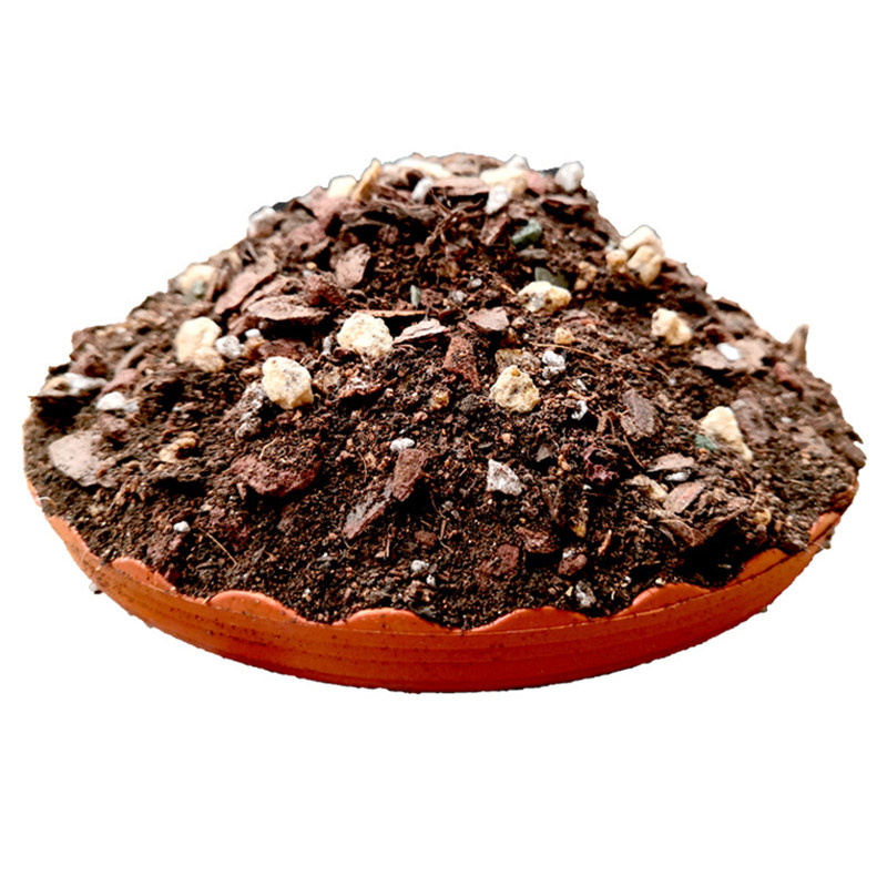 土中土月季土专用种植土土壤营养土种花土家用养花透气绣球盆栽土