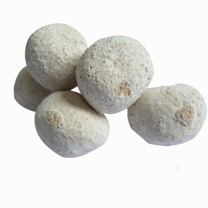 酒曲视频教学糯米10粒做醪曲子酵母粉