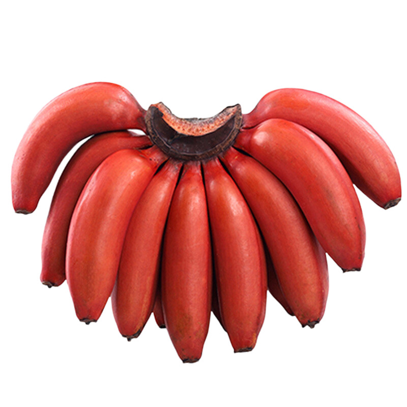 红美人香蕉广西10斤大香蕉新鲜水果包邮咖啡蕉当季红皮自然熟香蕉