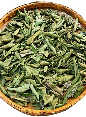 番石榴叶茶芭乐叶番石榴茶下糖野生无糖新鲜现摘自然晒干红心一斤