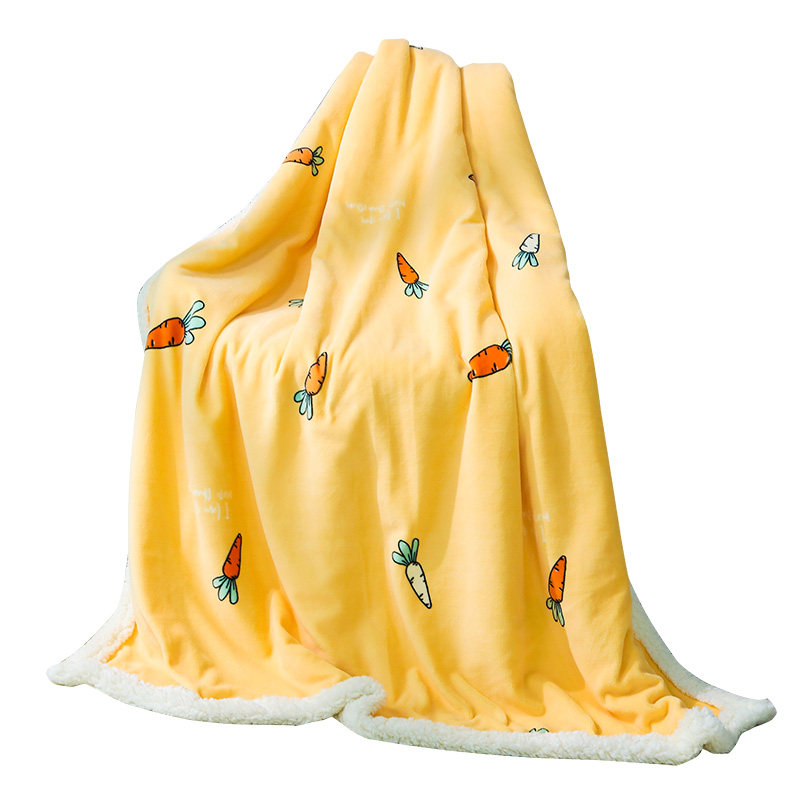 小毛毯婴儿毛毯宝宝小毯子儿童毛毯双层加厚冬季盖毯新生儿小被子