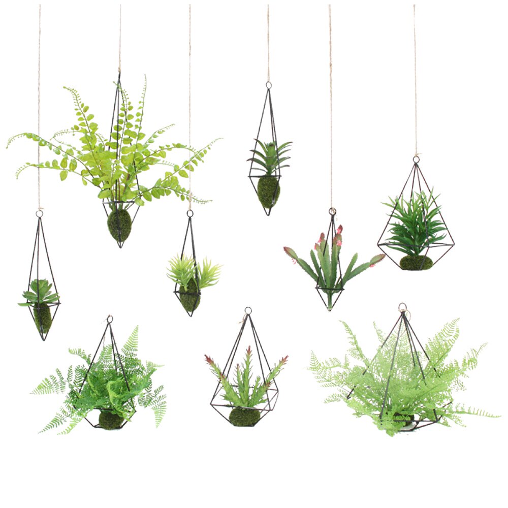 吊挂植物屋内装饰墙面挂件宿舍装饰悬挂绿植物小盆栽垂吊吧台吊饰