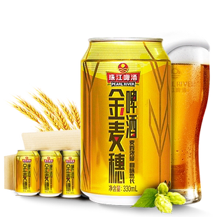 珠江啤酒10度金麦穗24罐330ml