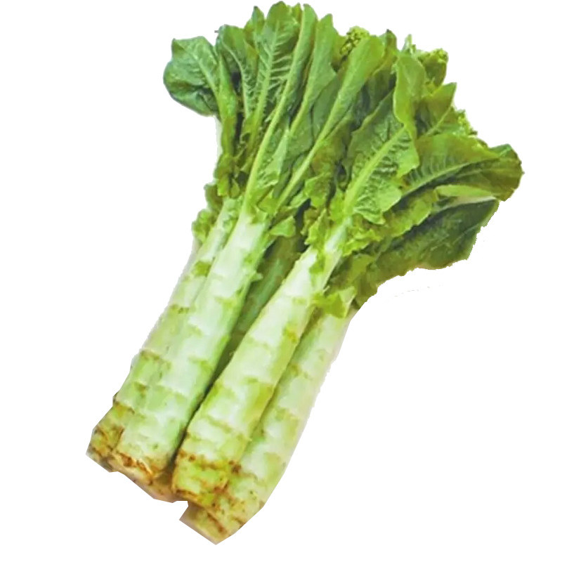 莴苣种子耐热香莴笋蔬菜种籽庭院阳台耐寒四季可播尖叶春秋二月皮