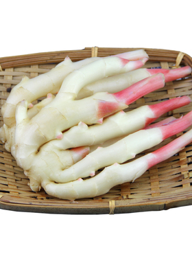 嫩姜新鲜四川乐山竹根姜醋泡鲜生姜