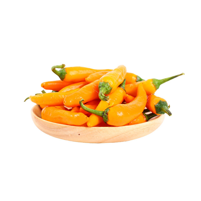 永安黄椒小辣椒魔鬼特辣变态辣新鲜朝天小米泡椒剁椒鱼头七彩灯笼