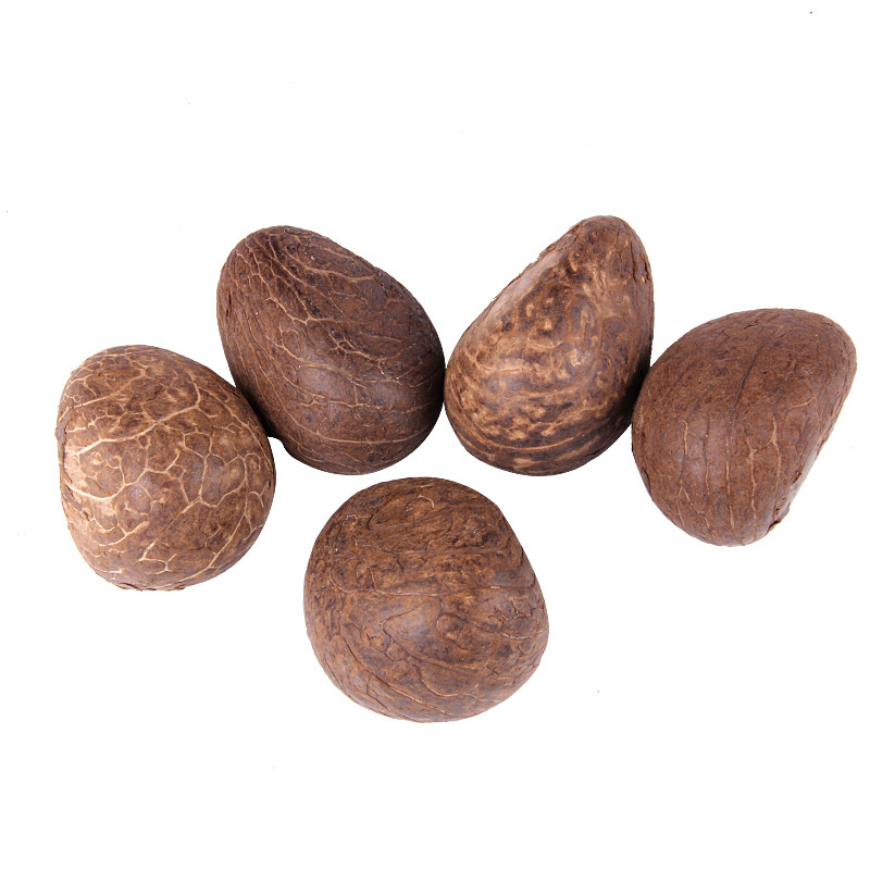 象牙果原果大中小果原料果通货论斤卖 菩提子原料只卖8块钱 - 菩提