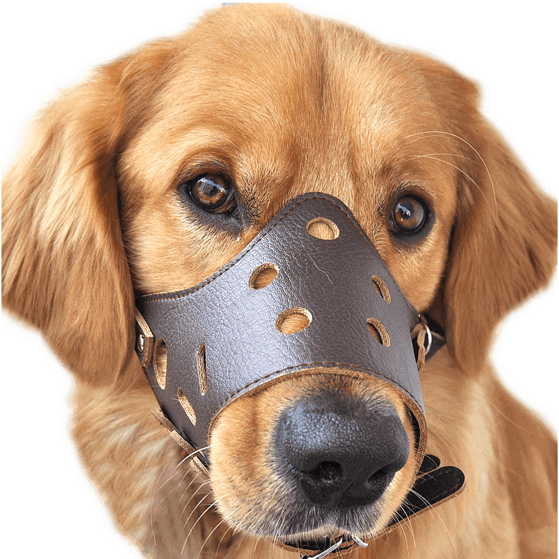 皮质狗狗嘴套防乱叫乱吃宠物防咬囗罩大型犬金毛止犬器小型犬泰迪