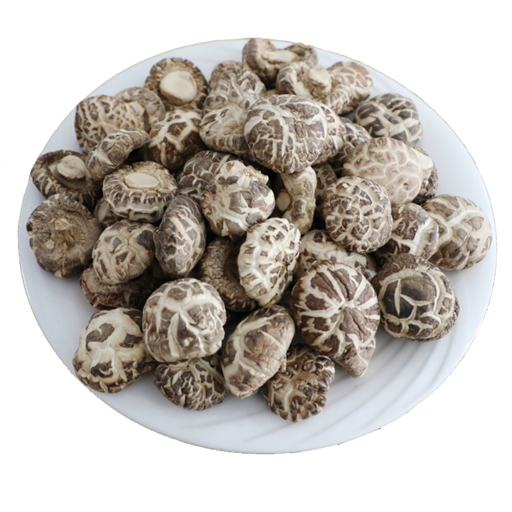 常顺出口大白花菇干货500g克一斤随州香菇特产农家用剪脚冬菇包邮