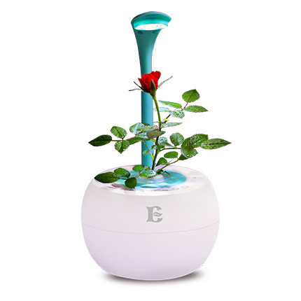 【智能花盆】试用点评