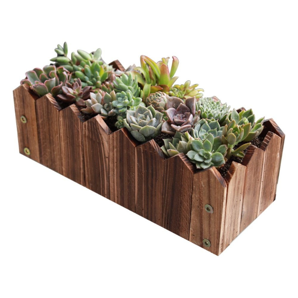 防腐木多肉花箱加厚实木花槽阳台室外室内户外种植木质花盆长方形