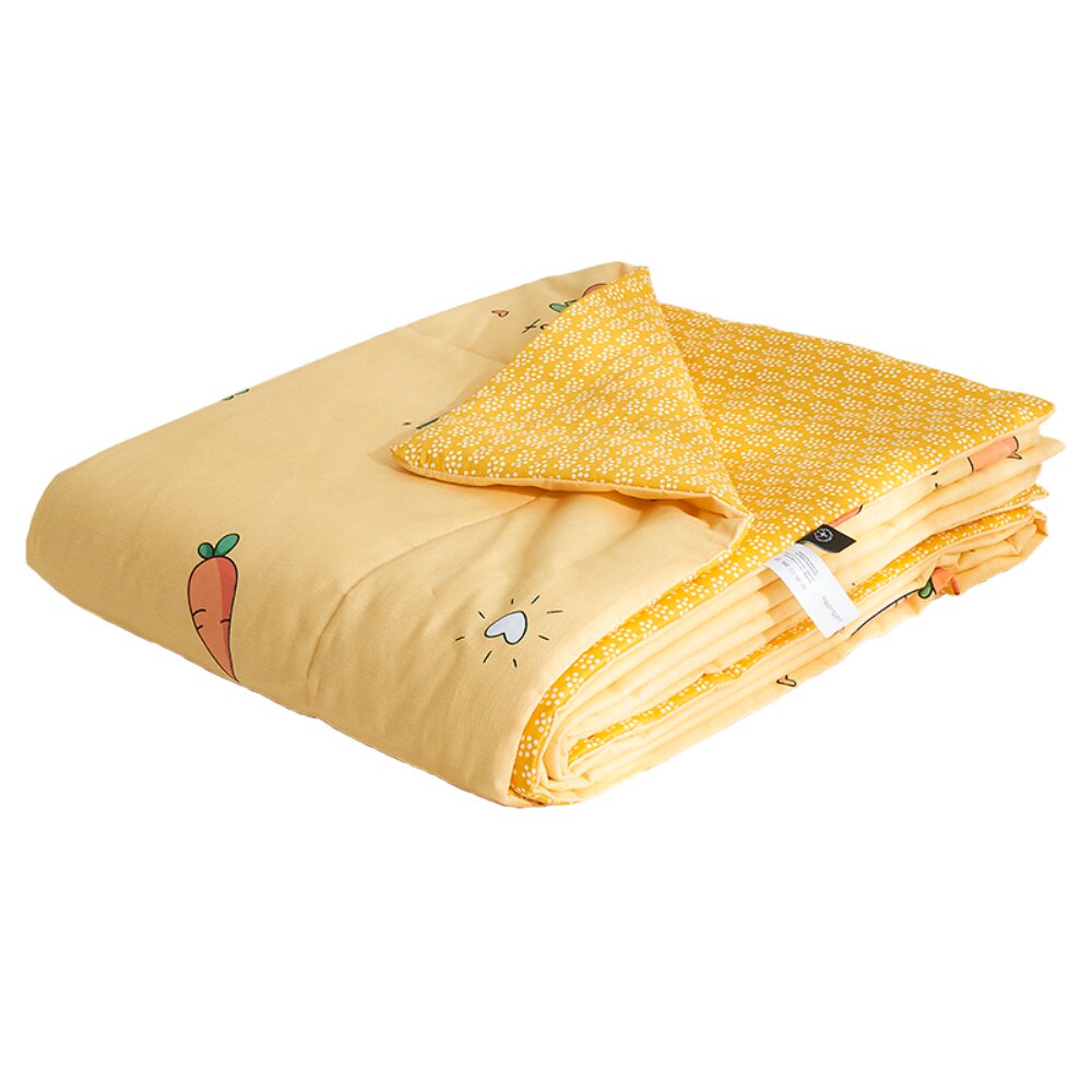 纯棉夏被双人全棉空调被宿舍单人夏凉被宝宝薄被子春秋棉被芯冬被