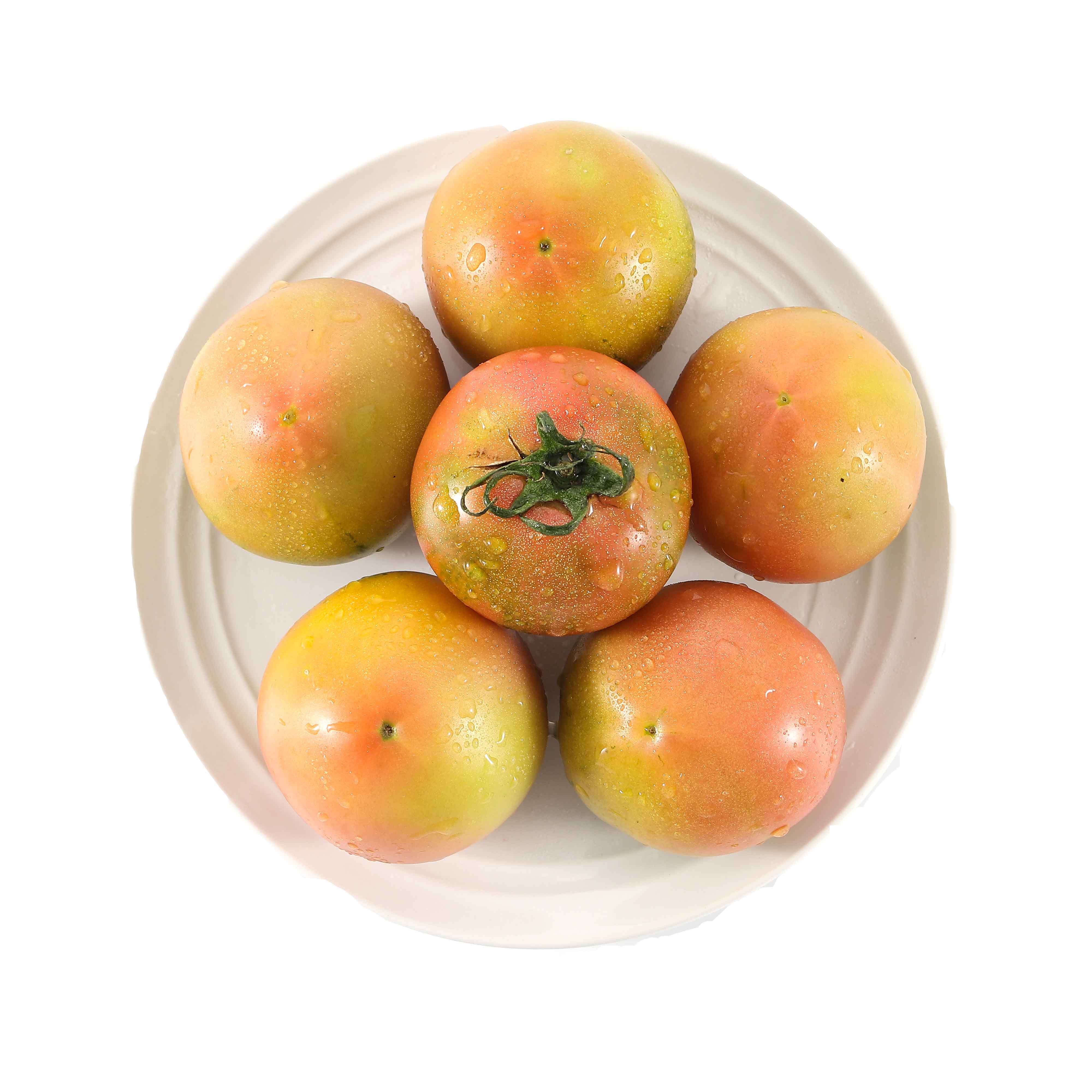 铁皮草莓柿子盘锦碱地柿子新鲜应季水果丹东西红柿自然熟绿腚番茄