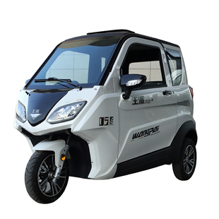 成人东威全封闭新能源代步摩托车上牌锂电电动三轮车