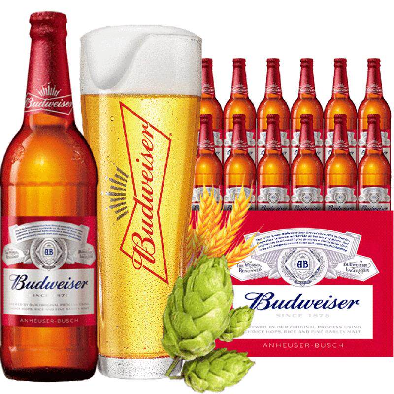 budweiser/百威啤酒瓶装美式拉格600ml*12大瓶装整箱经典啤酒 - 百威