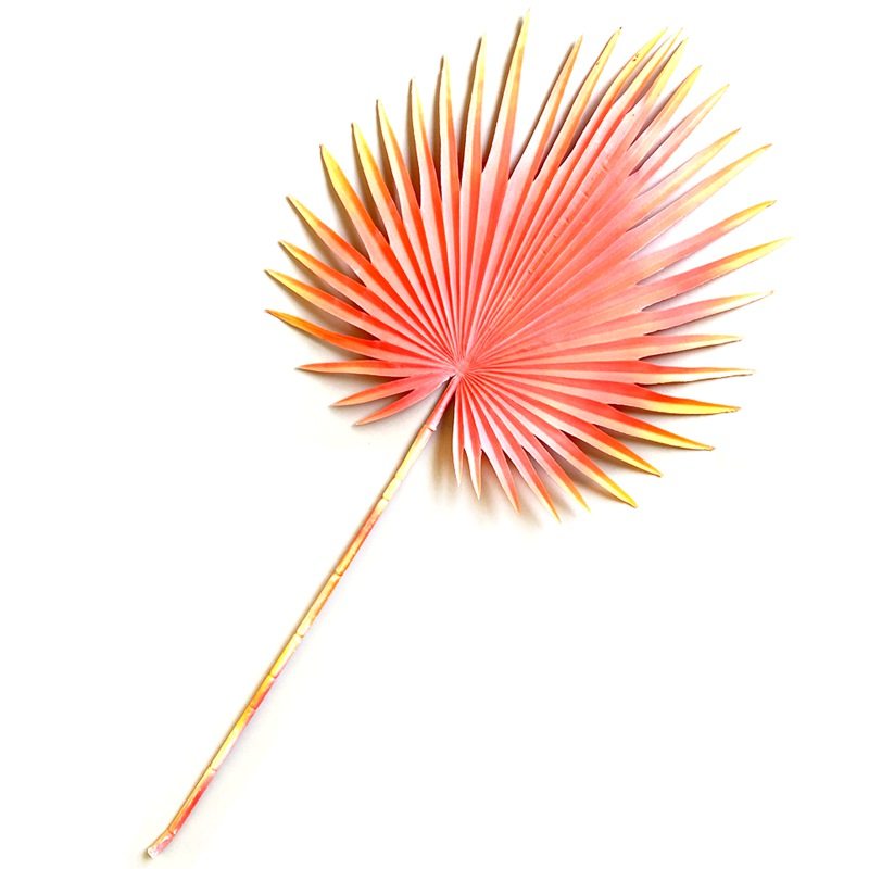 新款扇形叶子 仿真棕榈树叶葵叶 舞台拍摄道具插花婚庆造型假叶子