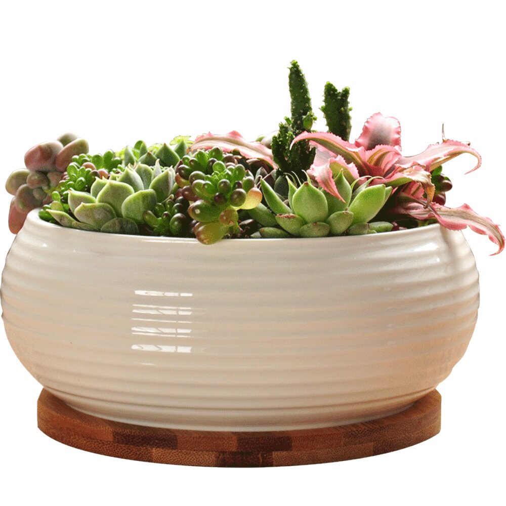 宣福多肉植物花盆带托盘简约创意肉肉长方形白瓷陶瓷拼盘绿植盆器