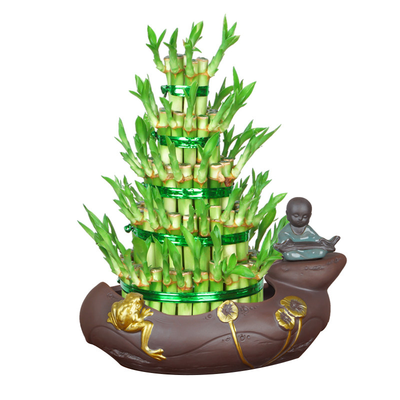 富贵竹植物水养客厅招财盆栽节节高竹塔土培绿植办公好养送礼盆景