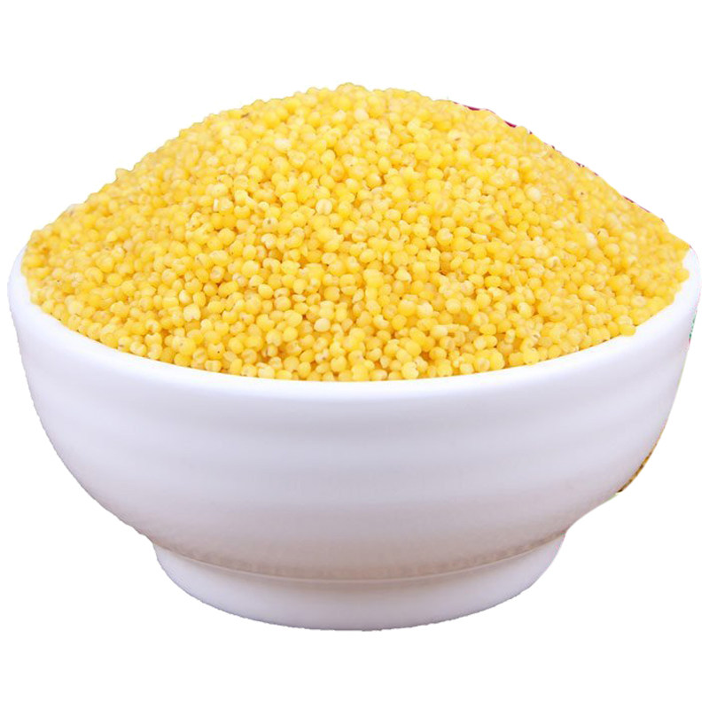 包邮2021年新小米朝阳小米建平小米月子米朱碌科红谷子小米5斤装 - 凌