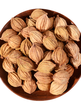 500g包邮金砂仁川沙仁粉炖肉香砂仁