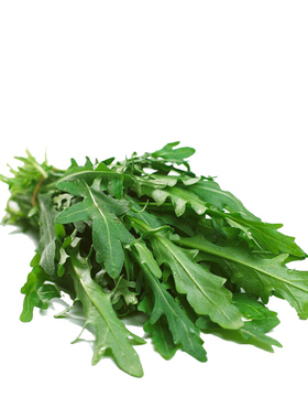 芝麻叶新鲜芝麻菜火箭菜即食生菜