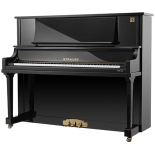 strauss 施特劳斯钢琴 se123d 苏州钢琴出租