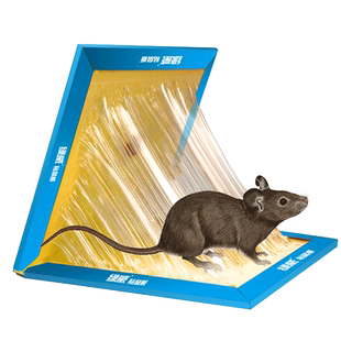 【绿威】家用超强力粘鼠板10张装