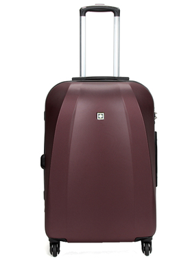 瑞士军刀suissewin拉杆箱潮流时尚行李箱20寸pc登机箱磨砂面密码