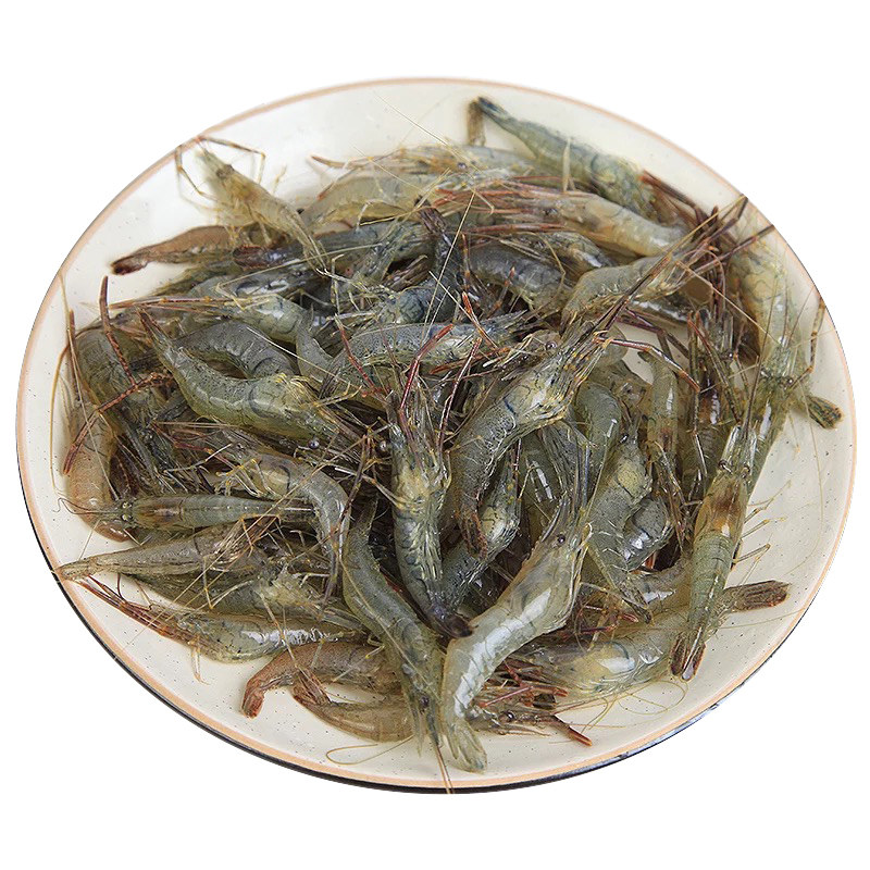 渔民捕获淡水河虾速冻 新鲜活河虾急冻小河虾草虾青虾淡水虾水产