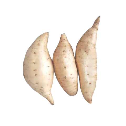 人参薯5斤 白皮板栗薯新鲜白薯沙地天猫农场10自种小地瓜白心红薯