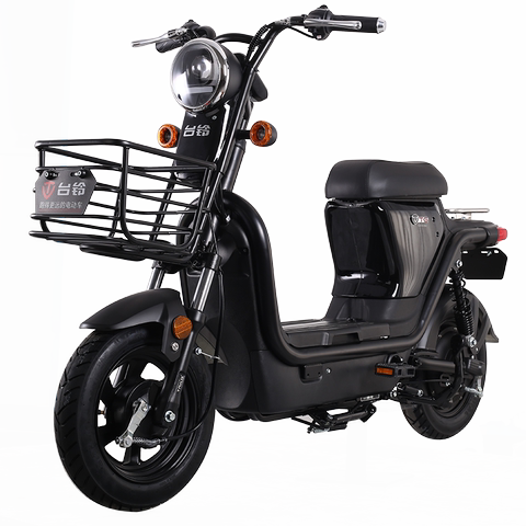 台铃新款轻卡二代20ah锂电池电动车电动自行车电瓶车代步车踏板车