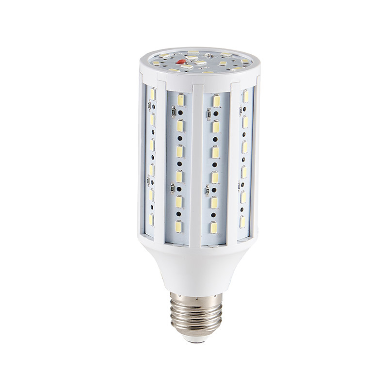 12vled灯泡低压24v36v48v60v 太阳能夜市车船灯220vled玉米灯包邮