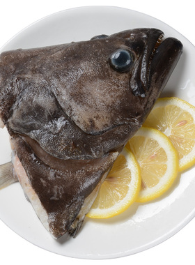 鸦片鱼头格陵兰深海头碟鱼头大鱼头