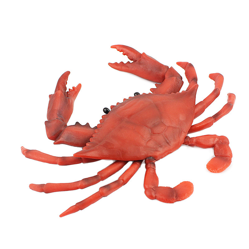 仿真海洋动物梭子蟹螃蟹模型玩具帝王蟹椰子蟹大号儿童认知礼物