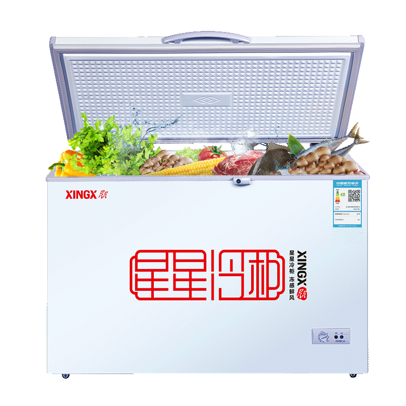 【正常发货】xingx/星星 bd/bc-305e 卧式冰柜家用 商用大冷柜 - 星星