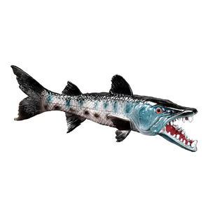 玩模乐仿真海洋动物模型玩具 海底世界生物东方狼鱼儿童节礼物 券