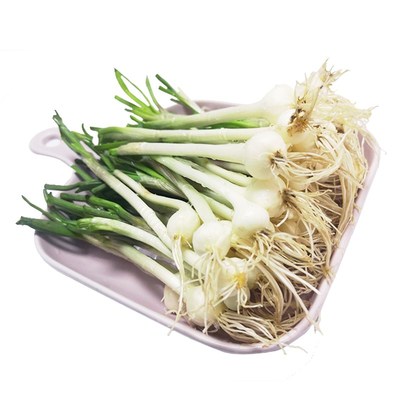东北小根蒜野生山野菜野山蒜小根菜2斤份包邮野山葱新鲜