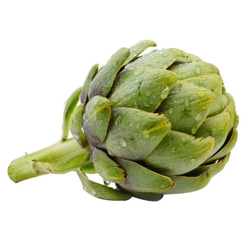 洋蓟新鲜3斤包邮法国百合artichoke1500g 现摘现发云南曲靖朝鲜蓟