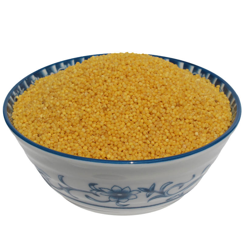 山西特产武乡小米2020农家正宗新沁州黄小米粥米特级吃的小黄米 - 金