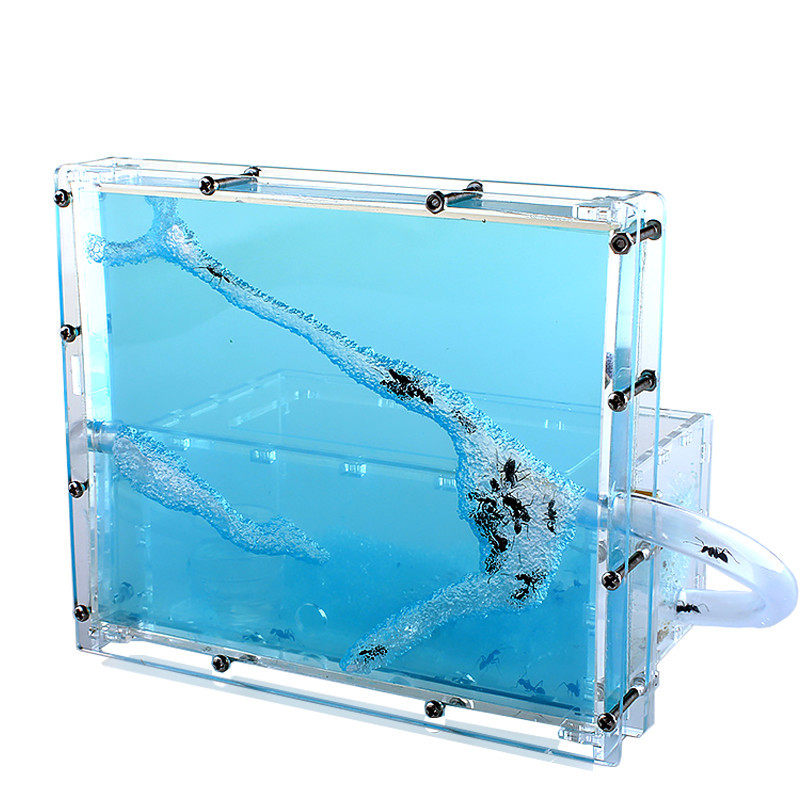 大型蚂蚁工坊别墅蚂蚁城堡宫殿第6代蚂蚁之家庄园送宠物蚂蚁60只